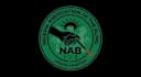 NAB Lagos Chapter logo